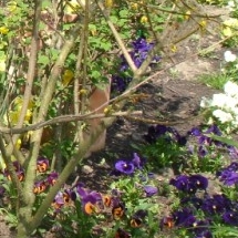 Charmehotel De stokerij te Oudenburg, West-Vlaanderen - Overnachten nabij Brugge, Oostende en De Haan